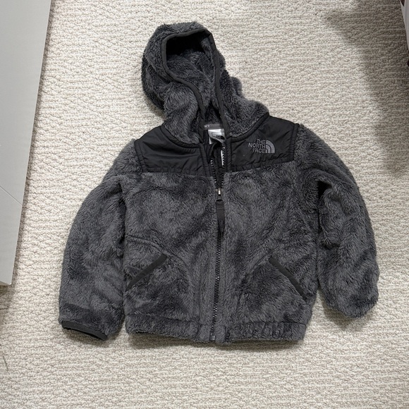 The North Face Charcoal Fleece Hoodie - Picture 3 of 3